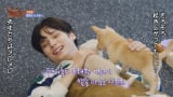 TOMORROW X TOGETHERSOOBIN&HUENINGKAIAIVECƎq6Ĉbɕ 񂿂̂bőguc 