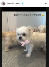 �썇�r��u�����q�� �����a�������}���܂����v(�ʐ^�̓C���X�^�O���� @ shunichi_kawai_1 ���) 