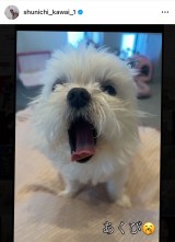 �썇�r��u�����q�� �����a�������}���܂����v(�ʐ^�̓C���X�^�O���� @ shunichi_kawai_1 ���) 