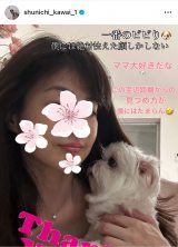 �썇�r��u�����q�� �����a�������}���܂����v(�ʐ^�̓C���X�^�O���� @ shunichi_kawai_1 ���) 