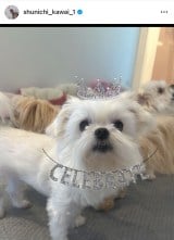 �썇�r��u�����q�� �����a�������}���܂����v(�ʐ^�̓C���X�^�O���� @ shunichi_kawai_1 ���) 