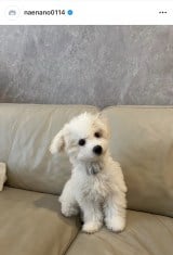 �Ȃ��Ȃ́u������