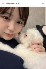 �Ȃ��Ȃ́u������