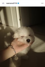 �Ȃ��Ȃ́u������