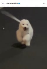 �Ȃ��Ȃ́u������