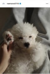 �Ȃ��Ȃ́u������