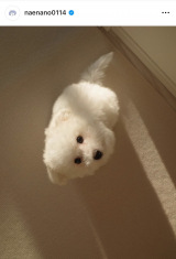 �Ȃ��Ȃ́u������