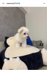 �Ȃ��Ȃ́u������