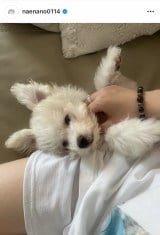 �Ȃ��Ȃ́u������