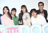 清原果耶、成田凌、深田恭子ら豪華キャストがワンちゃんにメロメロ