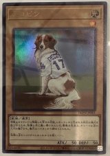 �f�R�s�����V�Y���J�[�h��!�g���ȁh�U����&�h��͂ɔ����u50/50���Ă��Ƃ��A�V���������Ƃ�ȁv�u50-50�ɂȂ��Ă� �������v 