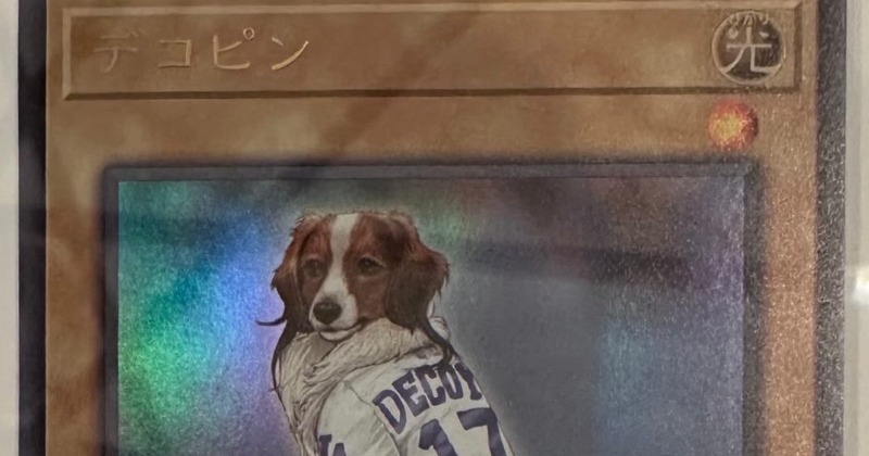 デコピンが遊戯王カードに！“粋な”攻撃力＆防御力に反響「50/50って