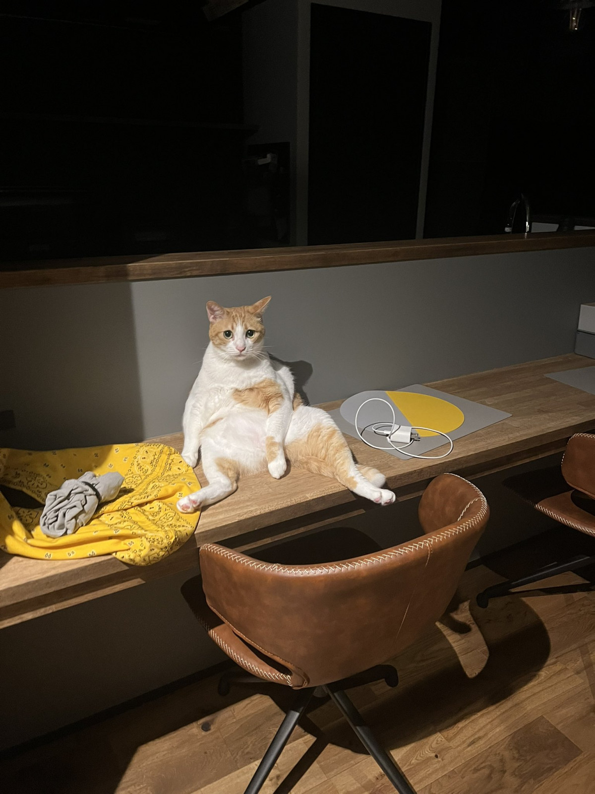 g|[YhŎ̋A҂ہ[(摜:ہ[̙ꂫcƂǂeg @kk26647297) 