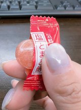 �u�������������݂킩��񂮂炢���������v�g�_�C�\�[�h�́u���Ƃ܂ƈ��v(�摜��:�������� @around40JK) 