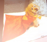 l̈E{j[^=fwX[p[}x́ufwX[p[}x̉Ă̓X[p[}!JڑOXyVt@Cxgv (C)ORICON NewS inc. 