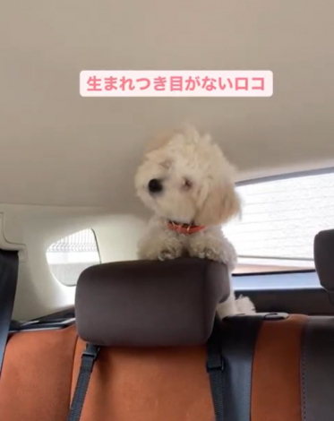 ���܂���ڂ��Ȃ����R�����iInstagram�^@lomilomi_secretgarden���j 