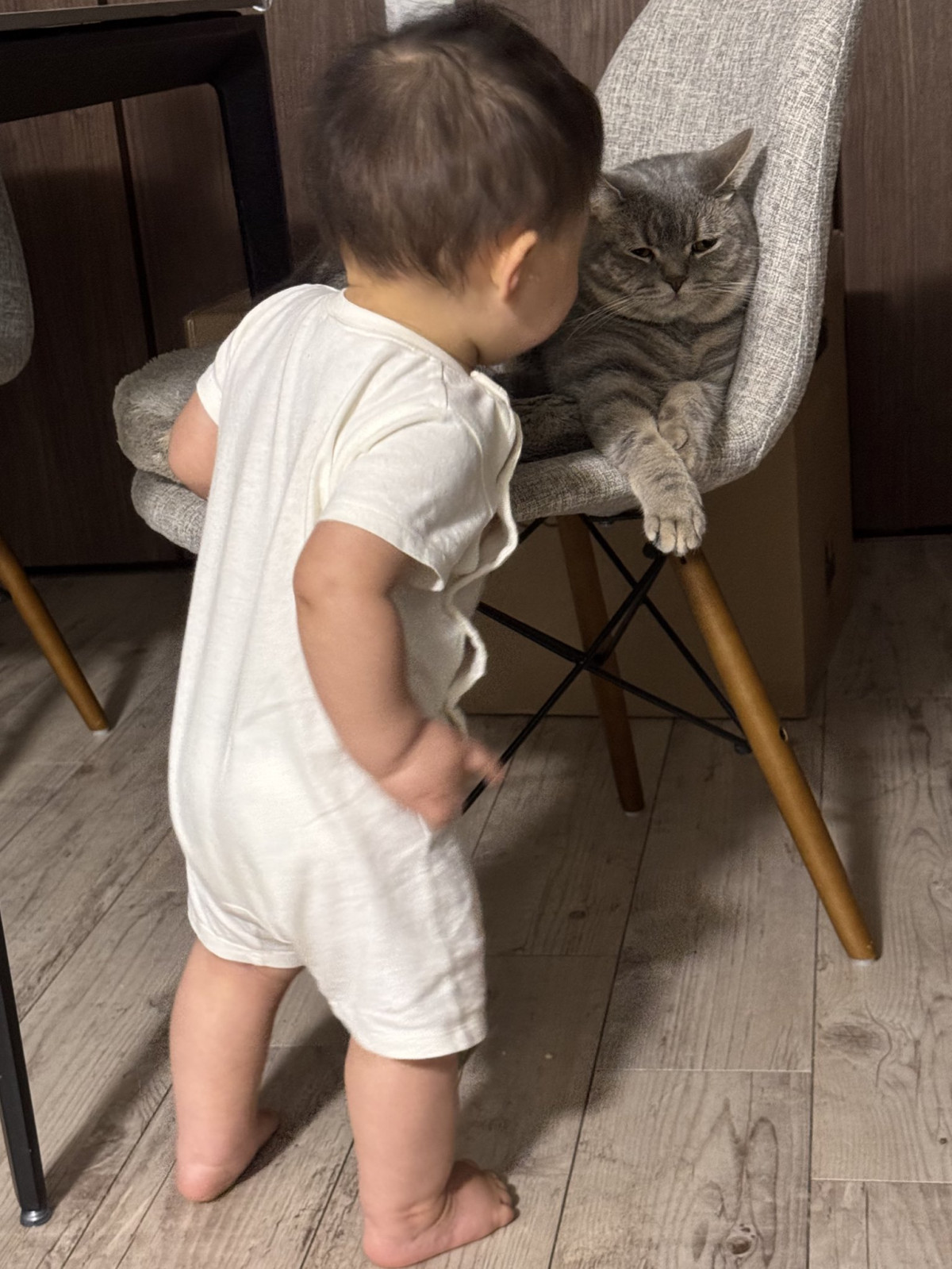 ԂɁgKl߁hĖfȔL(摜:܂悳 @goma__chiyo) 