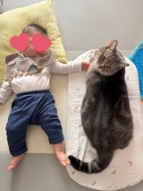 XAJEgE܂悳(@goma__chiyo)̈LƑq(ʐ^X) 