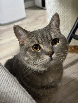 XAJEgE܂悳(@goma__chiyo)̈L(ʐ^X) 