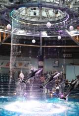 fwChaOxWpv~A htBptH[}X&g[NV[̖͗l(C)ORICON NewS inc. 