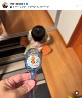 �C���g�A���R�u�f�� #���ꂢ���A���p���}���ƃ`���|���ƃq�[���[ �����}���J�X�U��Ȃ��犬�\�v(�ʐ^�̓C���X�^�O���� @imotodesse ���) 