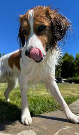 �f�R�s��(�ʐ^�͑�J�ĕ��̃C���X�^�O����:@shoheiohtani���) 