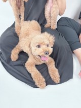 �n�Ӕ��ޑ�I�t�B�V�����u���O�uMinayo Land�v��� 