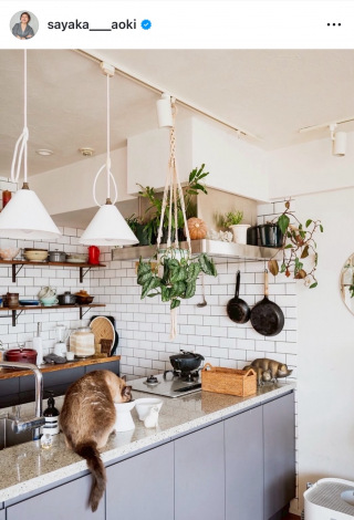 �󓇎Ђ̃��b�N�{�w���m�xROOM�T���v��100�x�Ń��m�x����������I�����؂��₩�@�i�ʐ^�̓C���X�^�O���� @sayaka___aoki ���j 