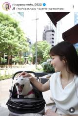 �R�{���؃A�i�u�����킿���ƕ����C���������e���X�ȂŁv (�ʐ^�̓C���X�^�O����@rinayamamoto_0622 ���) 