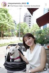 �R�{���؃A�i�A�e���X�Ȃň����Ɓg���ǂ��h2�V���b�g�u�߂��Ⴍ��������ł��ˁv�u�L���C�Ȕ����˂��v 