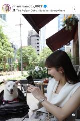 �R�{���؃A�i�u�����킿���ƕ����C���������e���X�ȂŁv (�ʐ^�̓C���X�^�O����@rinayamamoto_0622 ���) 