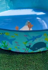 �]��Ńo�^�o�^�Q�Ă�A���Ђ炠�ɂ������񂪎����Ă���A�q��(�摜��:���Ђ炠�ɂ������� @ahiraa2go) 