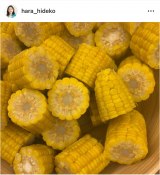 �����o�q�u���͎����̂��a�������щ� ���ƃp�[�e�B�[�v (�ʐ^�̓C���X�^�O���� @hara_hideko ���) 