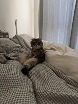 X�A�J�E���g�E���Ⴏ����(@shake_1121)�̈��L�E���Ⴏ����(�ʐ^��X���) 