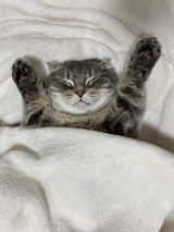 X�A�J�E���g�E���Ⴏ����(@shake_1121)�̈��L�E���Ⴏ����(�ʐ^��X���) 