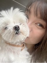 �ۓc�\�u�����q�ł�����Ԃ��ĂĂ���Ă��肪�Ƃ��v(�ʐ^�͌����u���O���) 