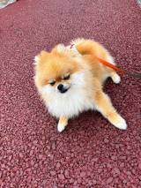 X�A�J�E���g�EEBIKECHI���� (@ebikechi)�̈����E�ۂ����(�ʐ^��X���) 