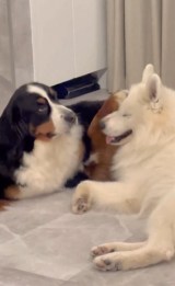 X�A�J�E���g�E@GrandMou_����̈����E��:���[�U����� �E:�W���j����(�ʐ^��X���) 