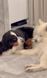 X�A�J�E���g�E@GrandMou_����̈����E��:���[�U����� �E:�W���j����(�ʐ^��X���) 