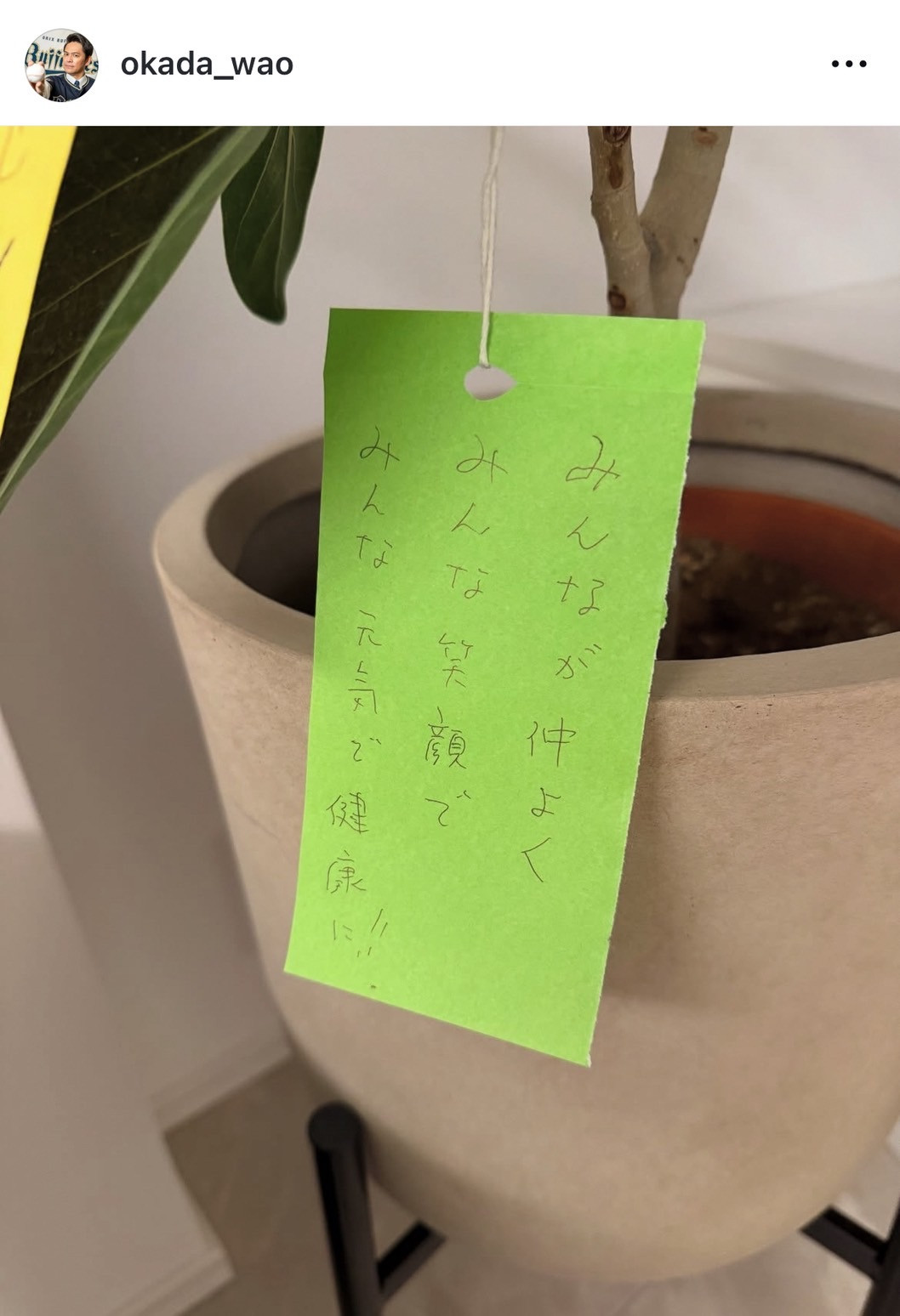 ܂Ec\EЉucƂ̎[v(ʐ^̓CX^O @okada_wao ) 