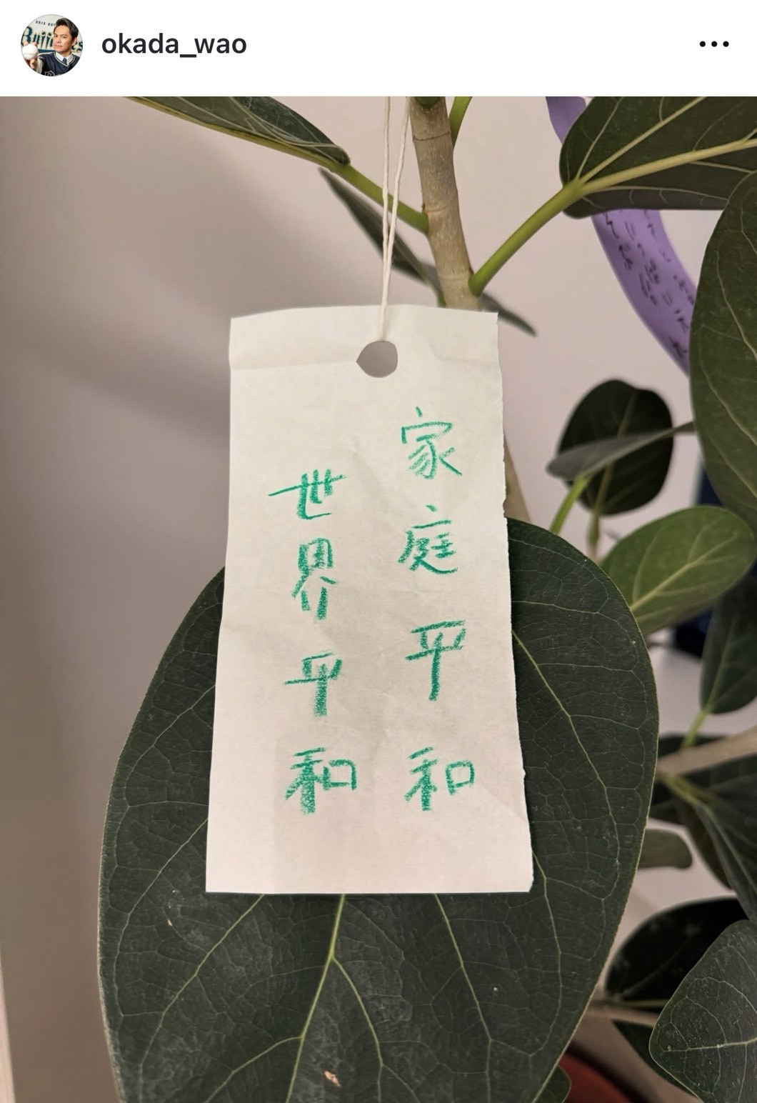 ܂Ec\EЉucƂ̎[v(ʐ^̓CX^O @okada_wao ) 