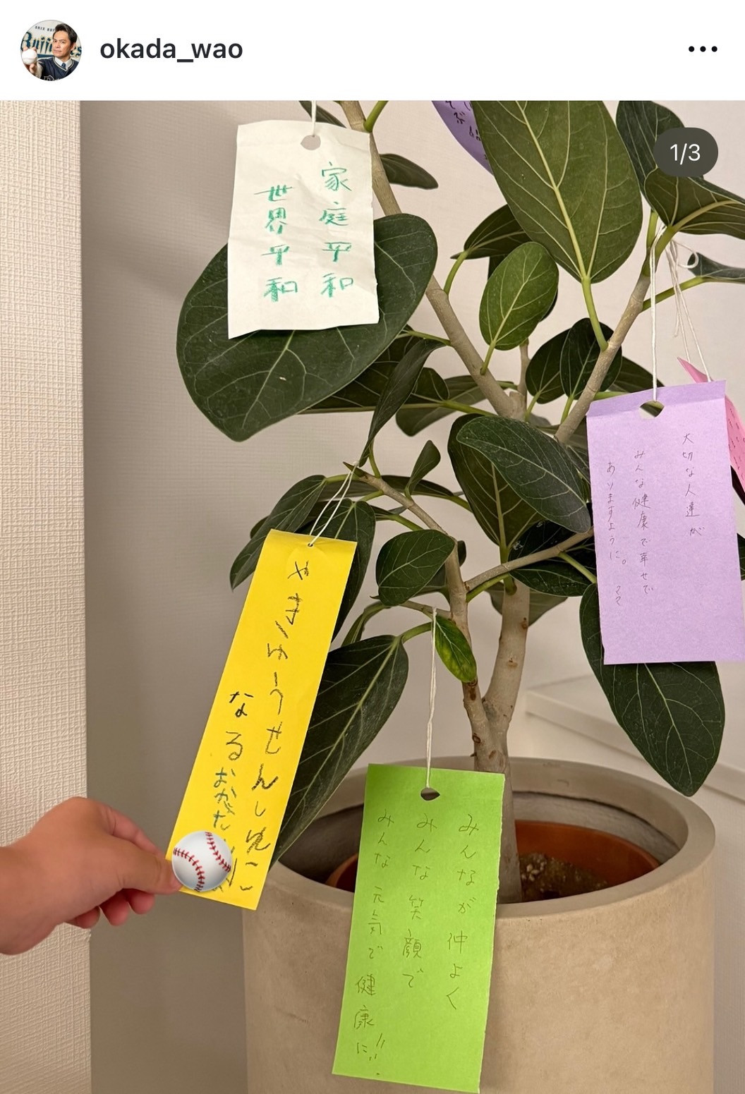 ܂Ec\EЉucƂ̎[v(ʐ^̓CX^O @okada_wao ) 