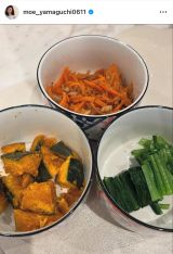 �R�������u�A���ɐl�����̑f�˕ٓ����܂���!�v (�ʐ^�̓C���X�^�O���� @moe_yamaguchi0611 ���) 