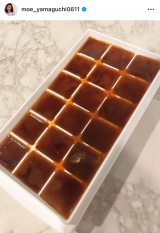 �R�������u�A���ɐl�����̑f�˕ٓ����܂���!�v (�ʐ^�̓C���X�^�O���� @moe_yamaguchi0611 ���) 