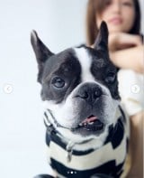 ����t�ނƈ����̃A�������(�ʐ^�̓C���X�^�O���� @haruna_kawaguchi_official ���) 