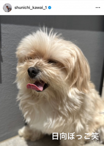 �썇�r��u�����̒a�����v�i�ʐ^�̓C���X�^�O���� @ shunichi_kawai_1 ���j 