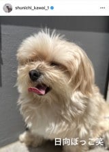 �썇�r��u�����̒a�����v�i�ʐ^�̓C���X�^�O���� @ shunichi_kawai_1 ���j 