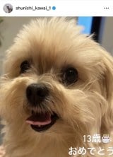 �썇�r��u�����̒a�����v�i�ʐ^�̓C���X�^�O���� @ shunichi_kawai_1 ���j 