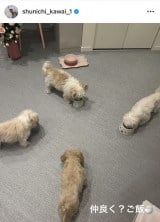 �썇�r��u�����̒a�����v�i�ʐ^�̓C���X�^�O���� @ shunichi_kawai_1 ���j 