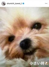 �썇�r��u�����̒a�����v�i�ʐ^�̓C���X�^�O���� @ shunichi_kawai_1 ���j 